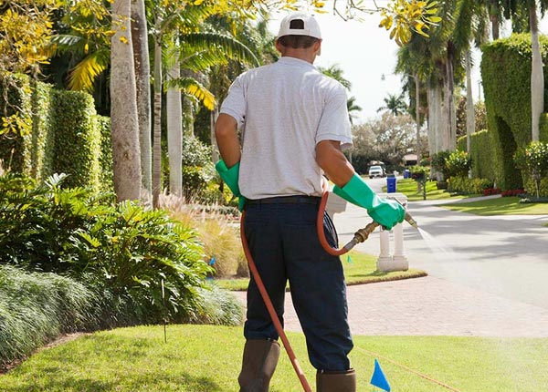 About Echo OR Pest Control Pros
